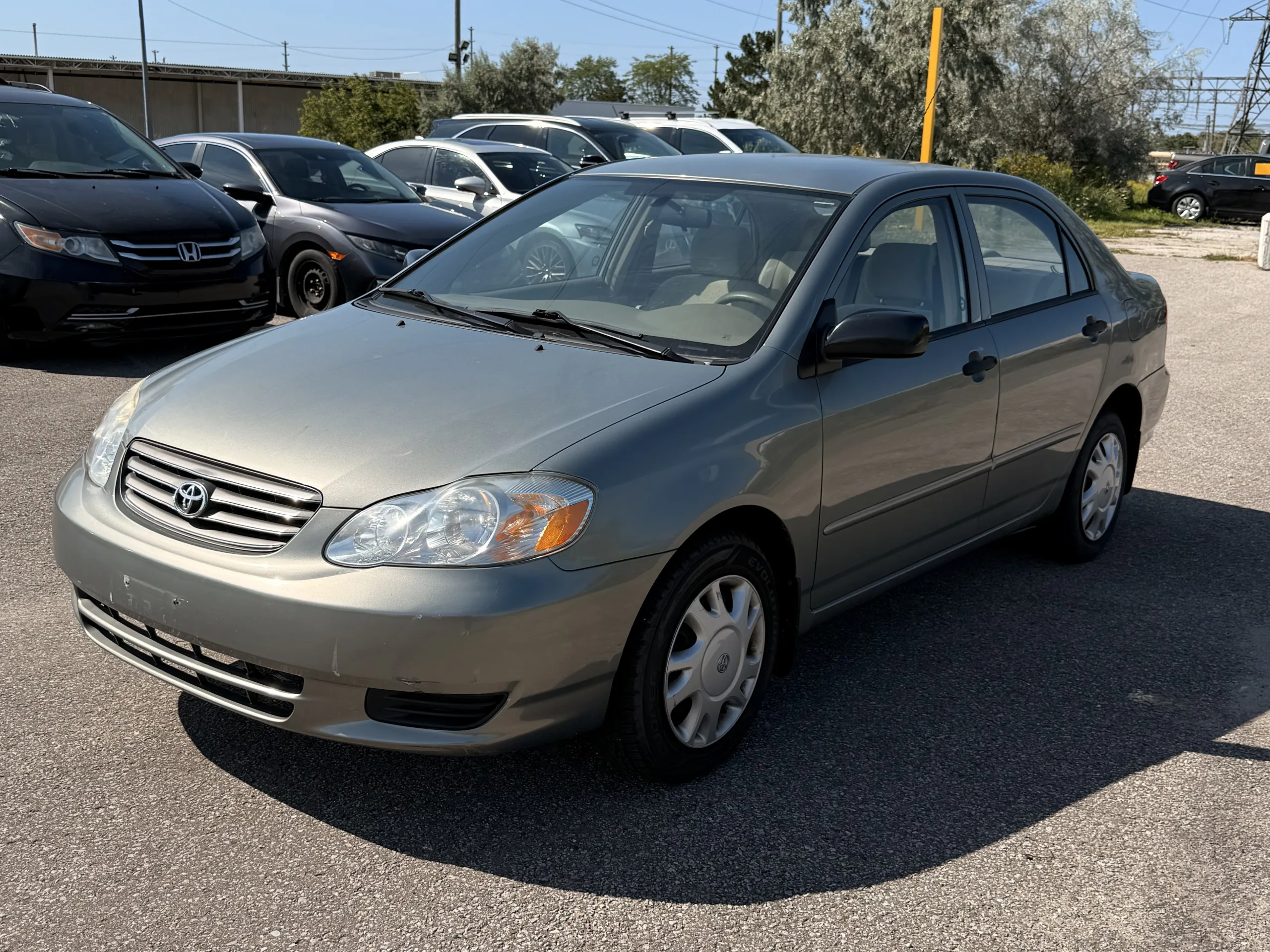 2004 Toyota Corolla — photo 3 of 12