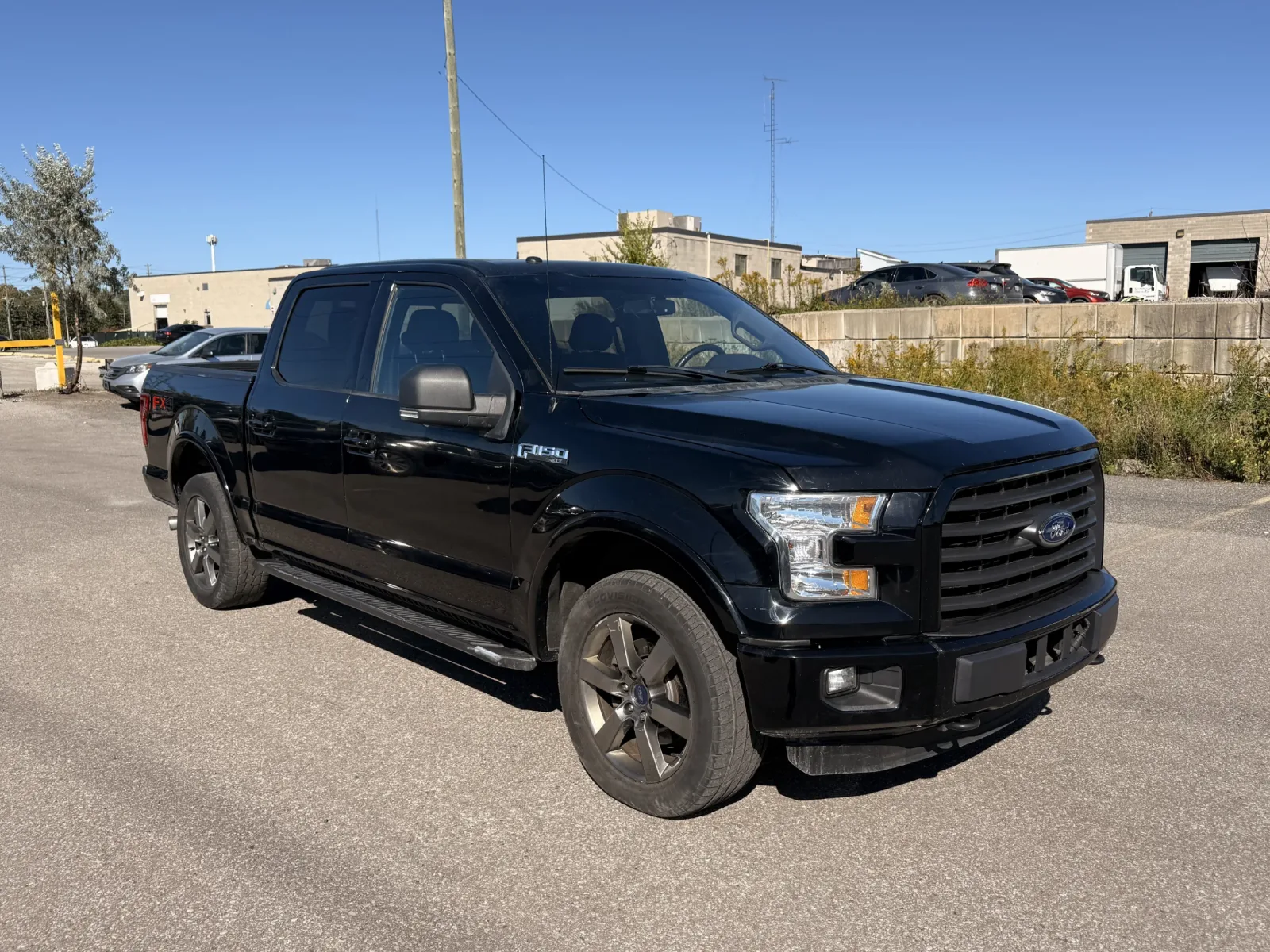 2016 Ford F-150 XLT — photo 3 of 19